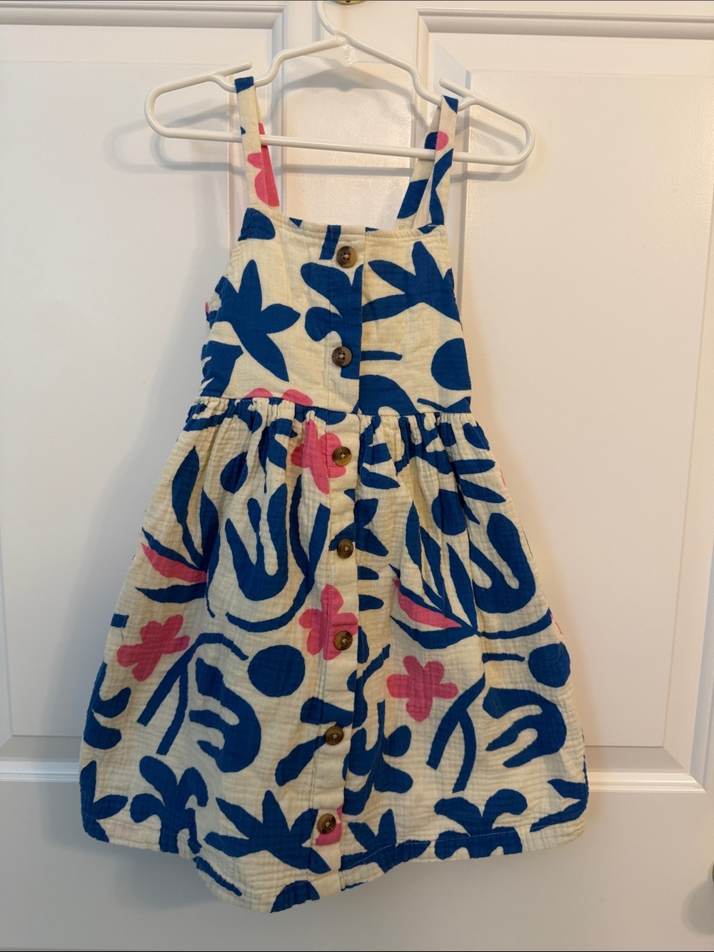 Hanna Andersson Cream Dress with Blue & Pink Floral Print